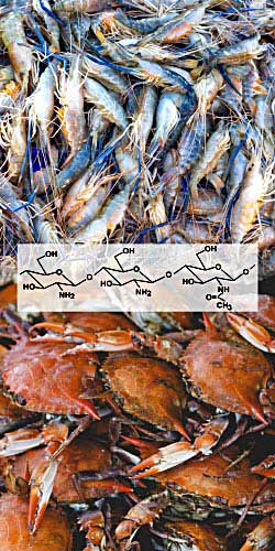 Organisan Chitosan Shrimp Crab