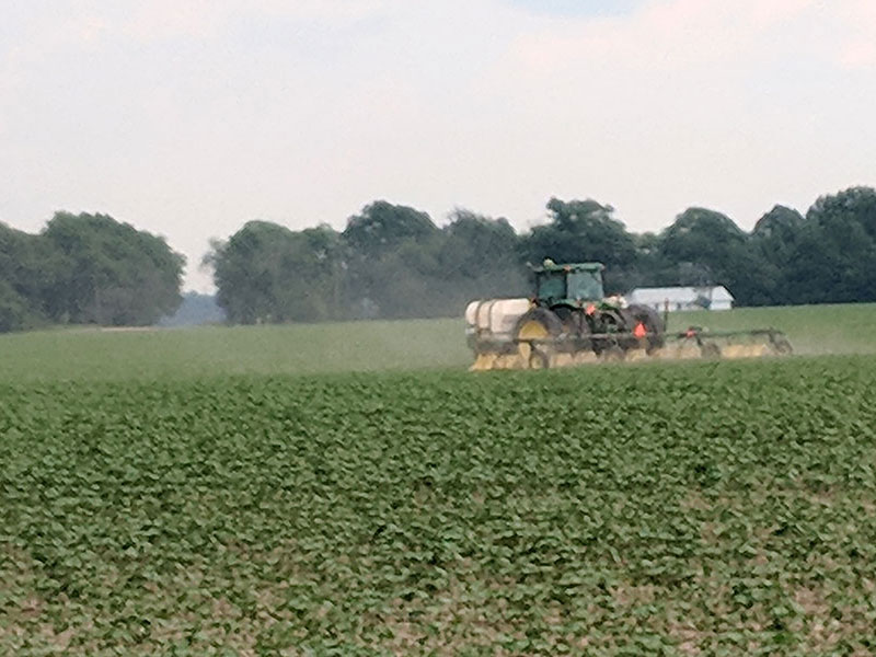 Organisan Mississippi Delta Thrips