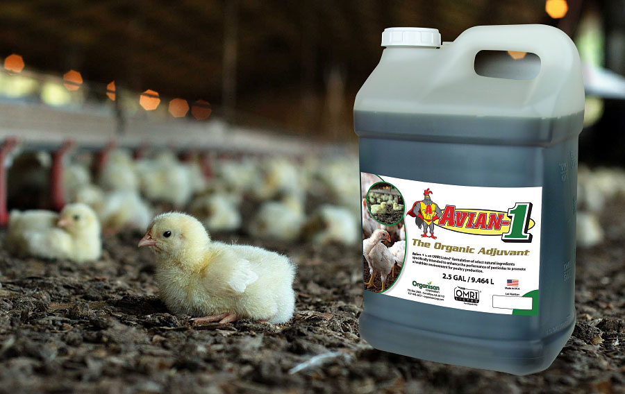 Organisan New OMRI Listed Poultry Adjuvant Avian-1