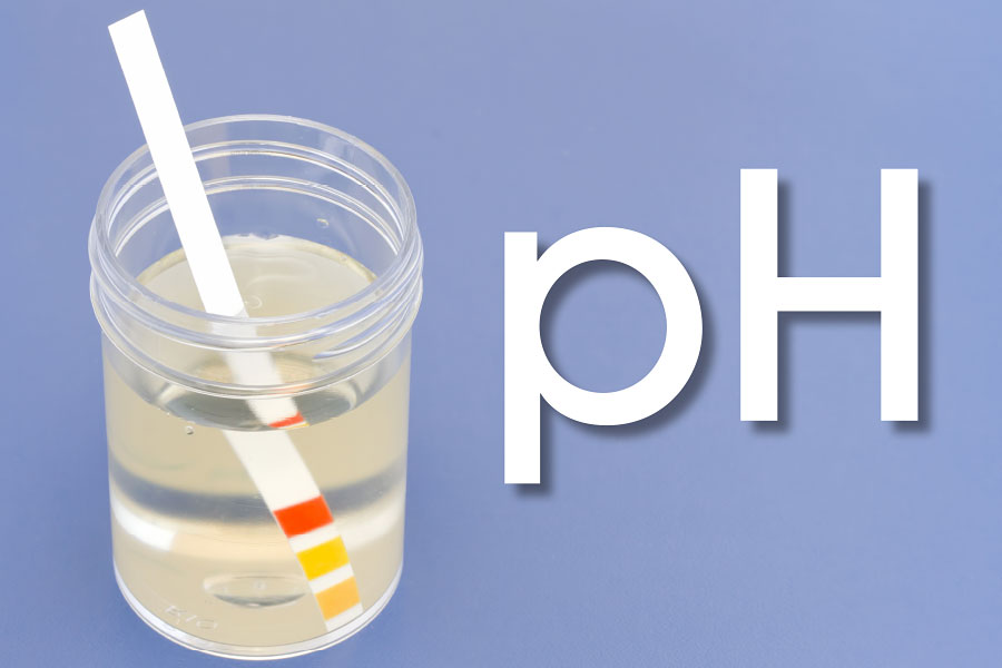 pH Test Strip