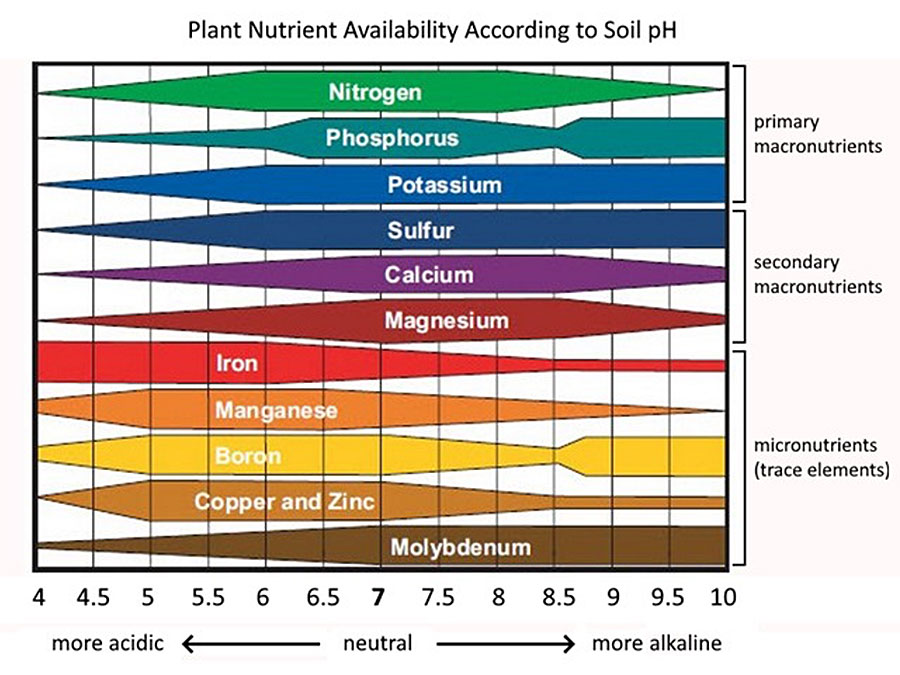 Organisan Chitosan Plant Nutrient Chart