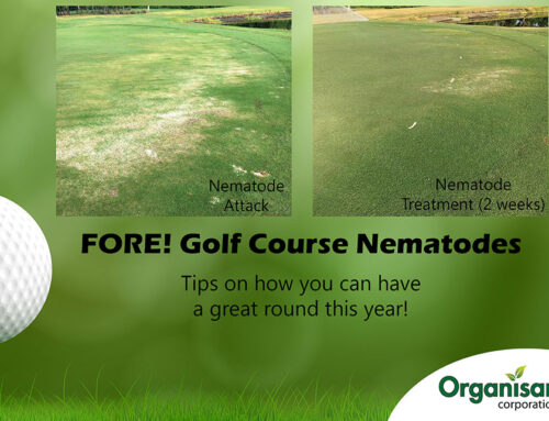 Turfgrass: FORE! Golf Course Nematodes