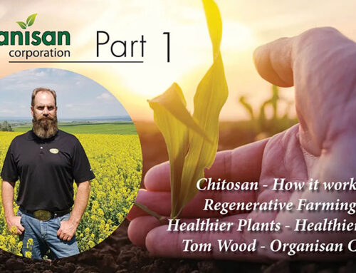 Chitosan: How It Works with Tom Wood – Part 1