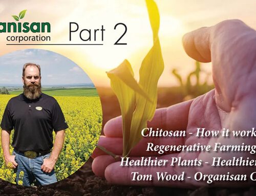 Chitosan: How It Works with Tom Wood – Part 2